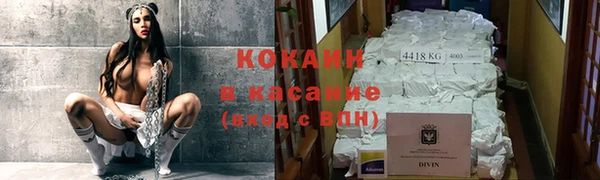 твердый Алзамай
